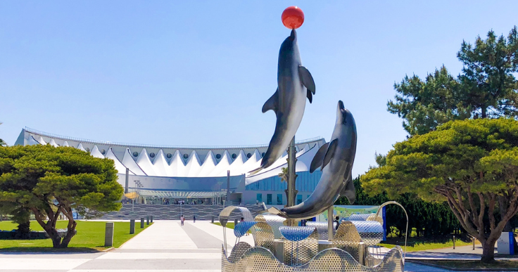 様々な生物や植物のことを学べる「動植物園、水族館」